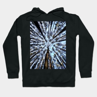 Looking up (Trees) Hoodie